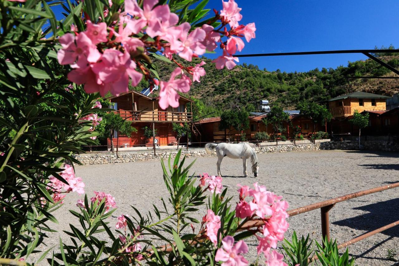 Oranj Ranch Hotel Kemer Eksteriør bilde