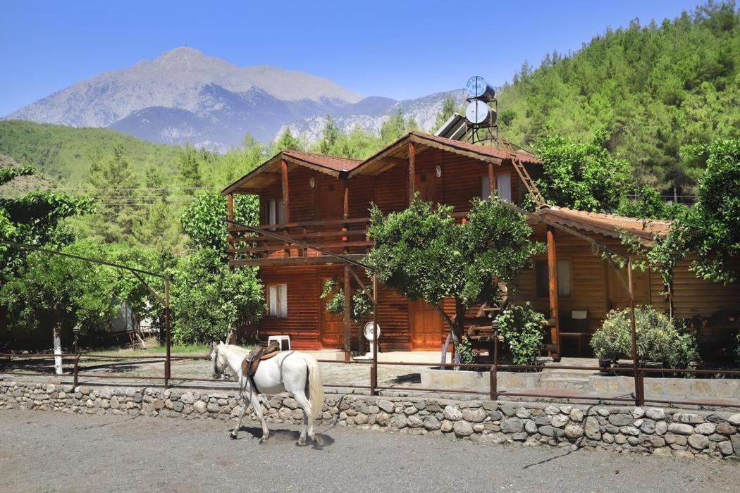 Oranj Ranch Hotel Kemer Eksteriør bilde
