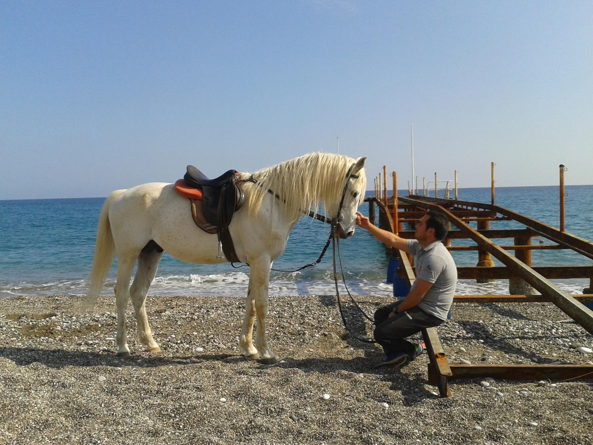 Oranj Ranch Hotel Kemer Eksteriør bilde