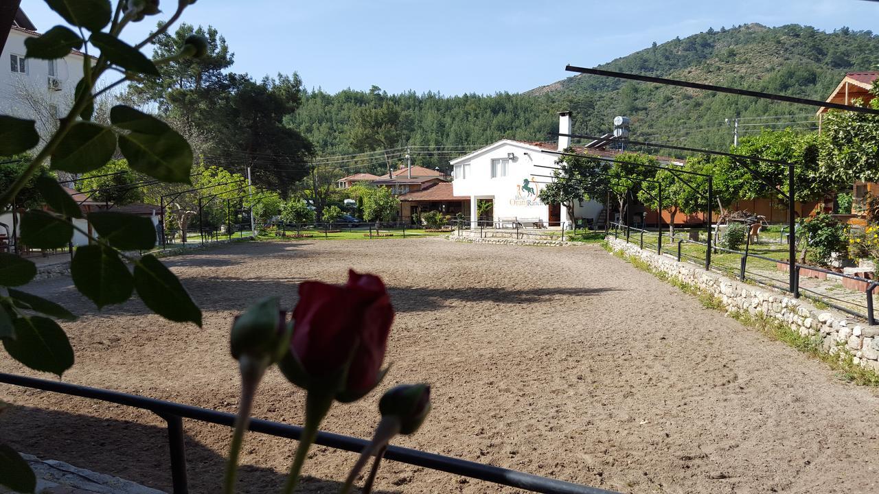 Oranj Ranch Hotel Kemer Eksteriør bilde