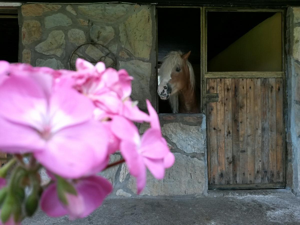 Oranj Ranch Hotel Kemer Eksteriør bilde