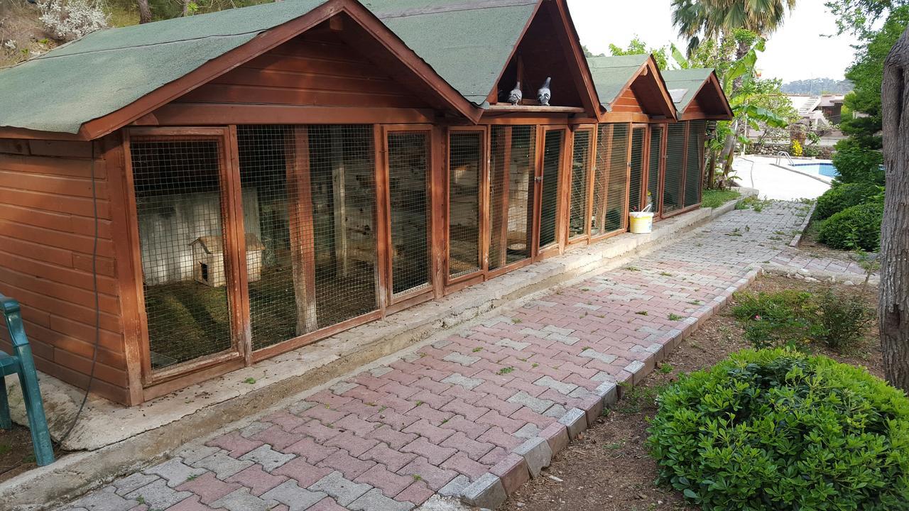 Oranj Ranch Hotel Kemer Eksteriør bilde