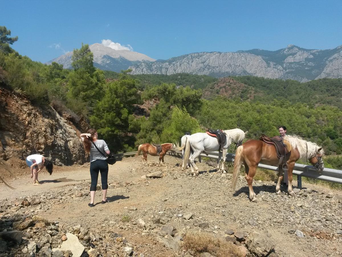 Oranj Ranch Hotel Kemer Eksteriør bilde