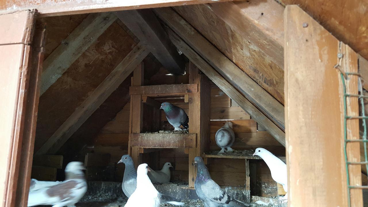 Oranj Ranch Hotel Kemer Eksteriør bilde