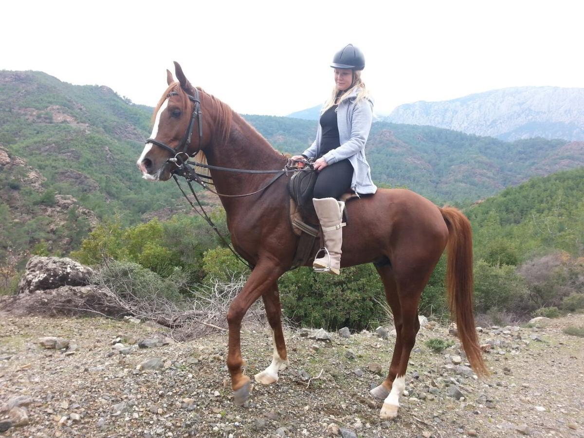 Oranj Ranch Hotel Kemer Eksteriør bilde