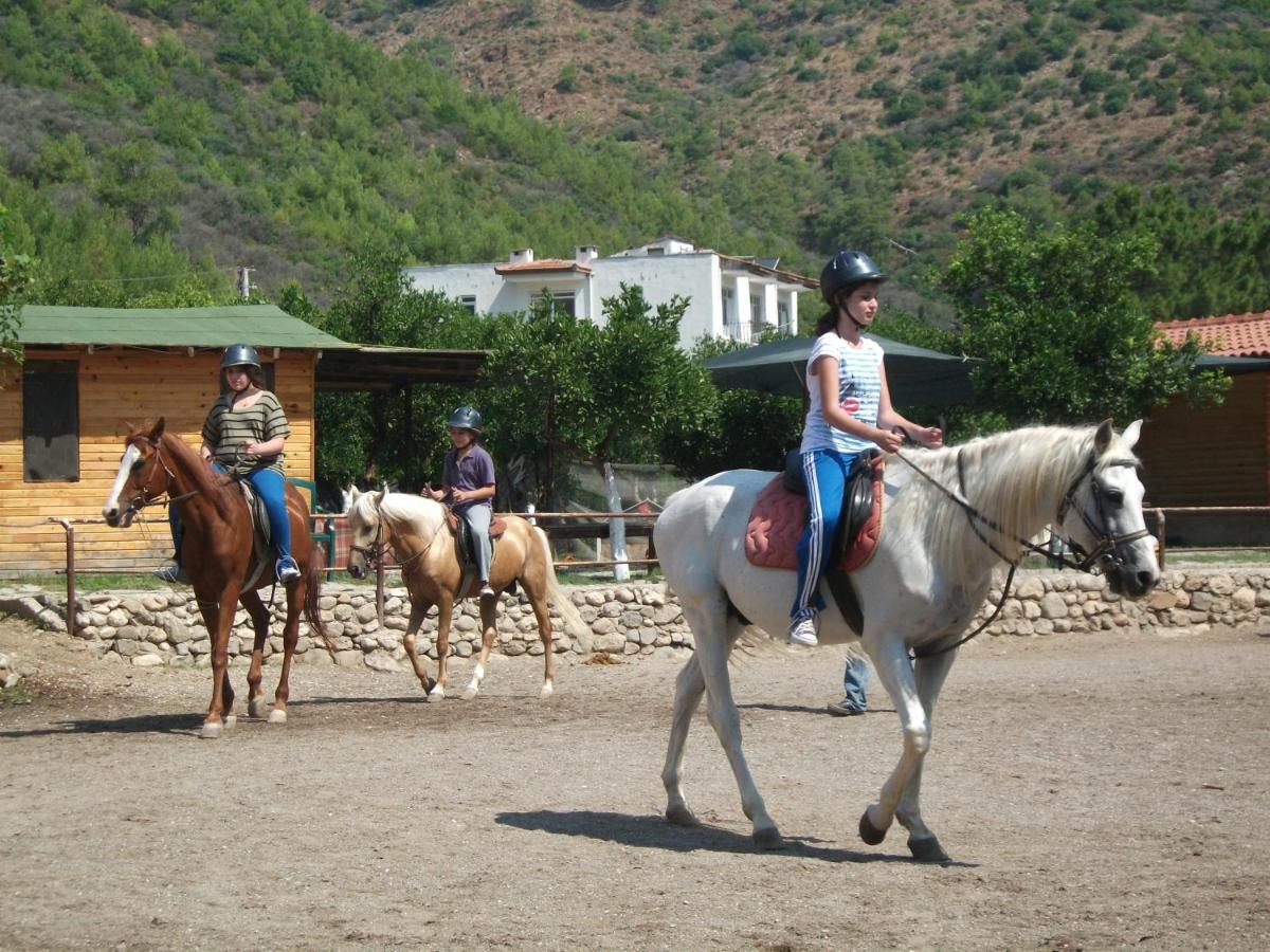 Oranj Ranch Hotel Kemer Eksteriør bilde