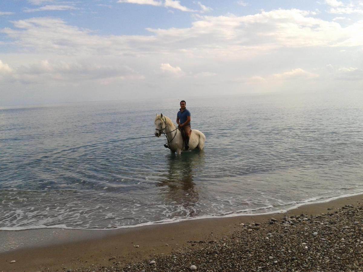 Oranj Ranch Hotel Kemer Eksteriør bilde
