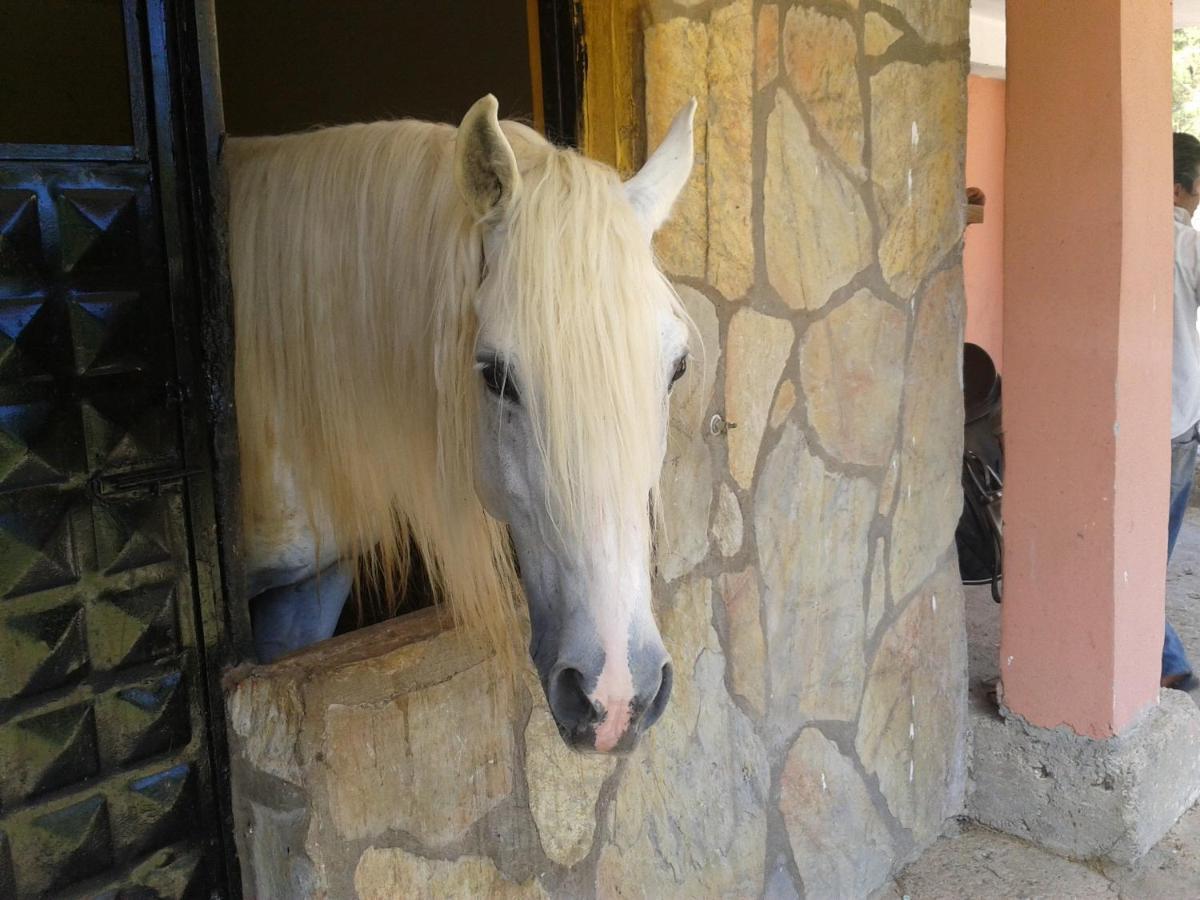 Oranj Ranch Hotel Kemer Eksteriør bilde
